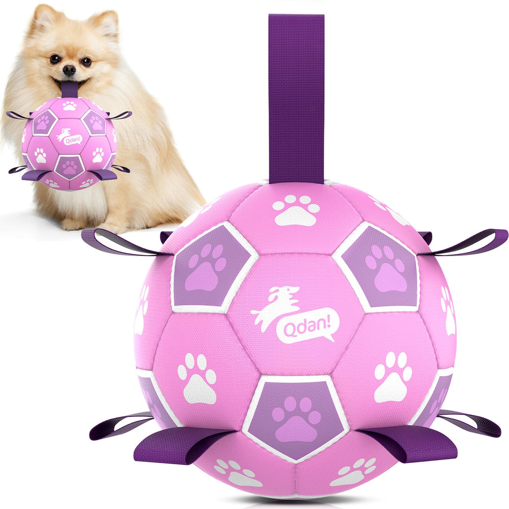 QDAN Dog Soccer Ball shown in a full product view.