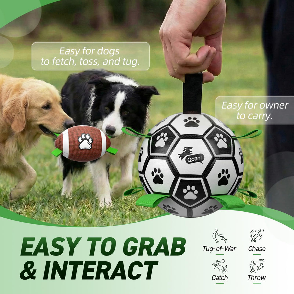 QDAN dog soccer ball shown during an interactive play session.