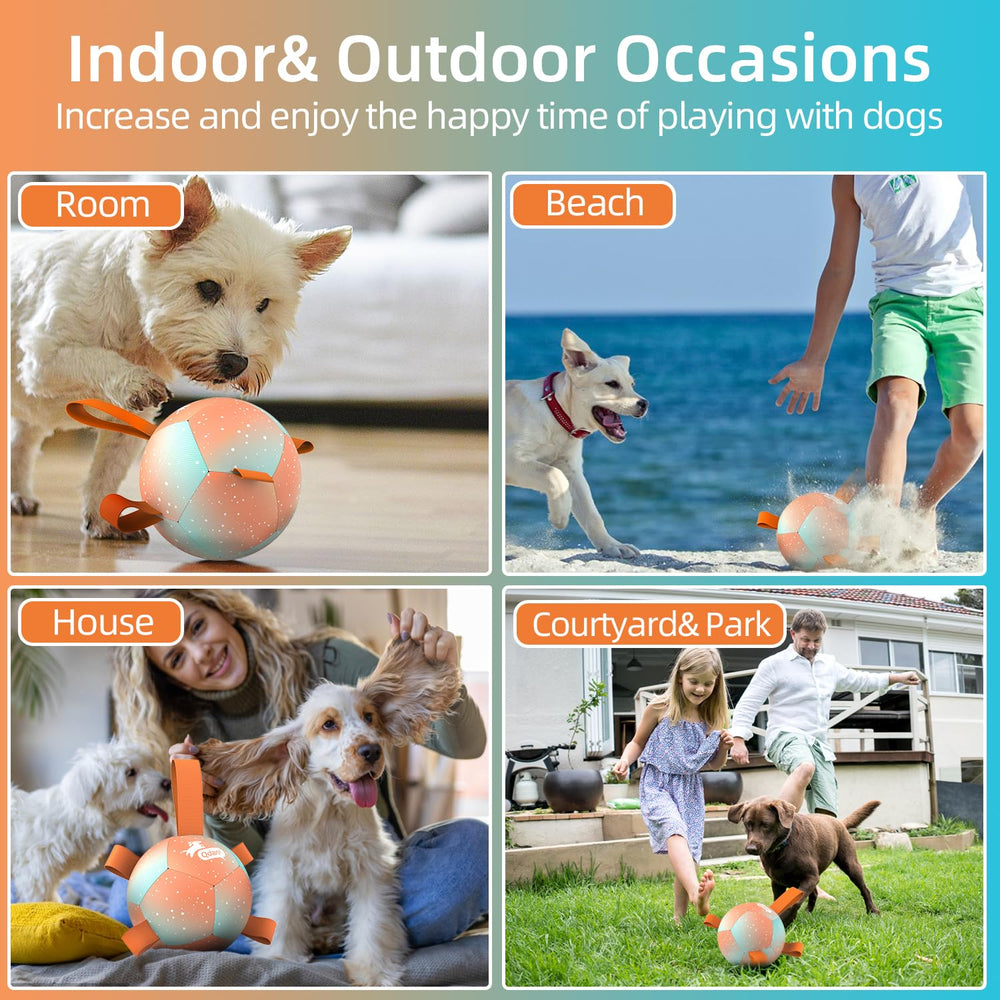 QDAN dog soccer ball used for indoor play.