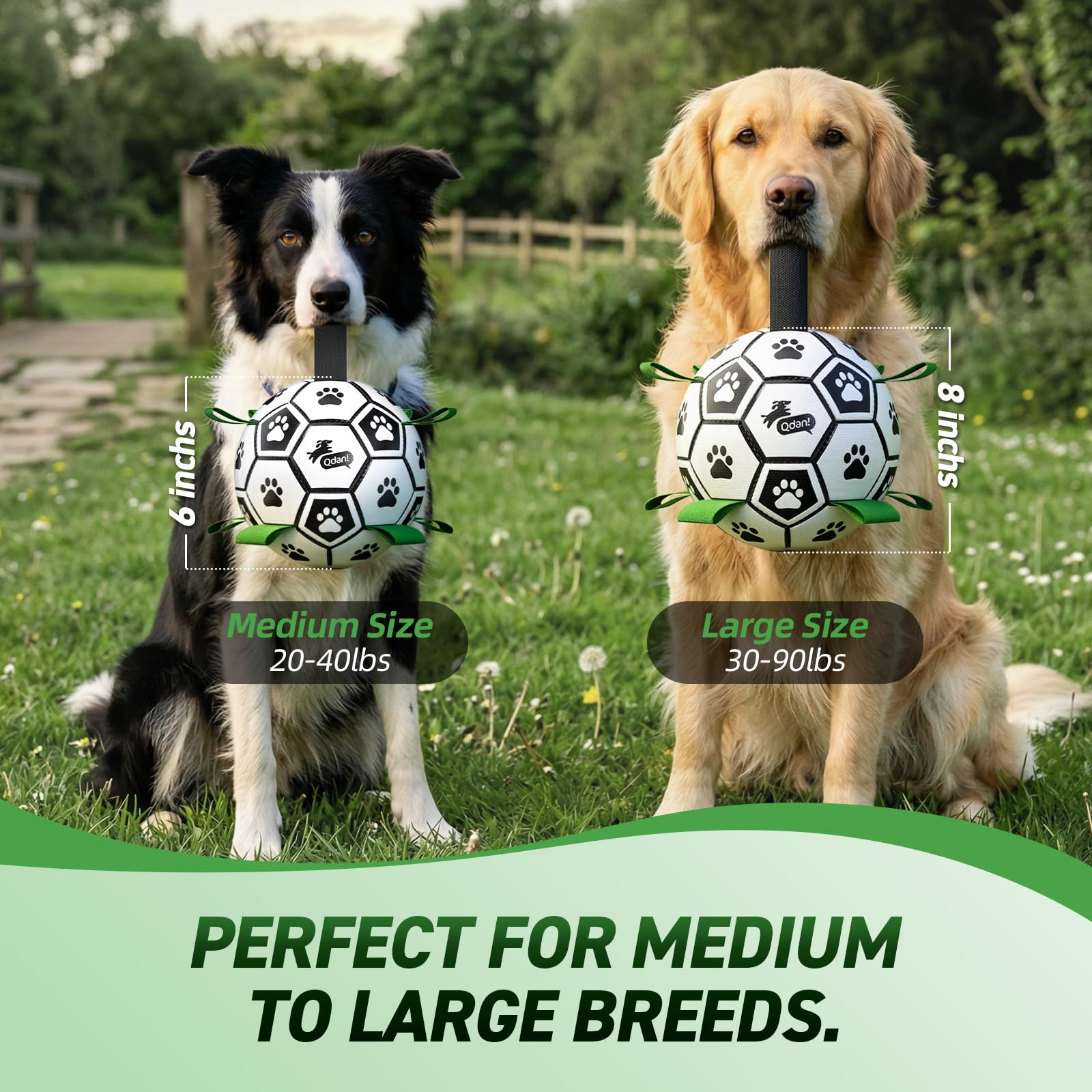 QDAN dog soccer ball close-up showing its PU surface.