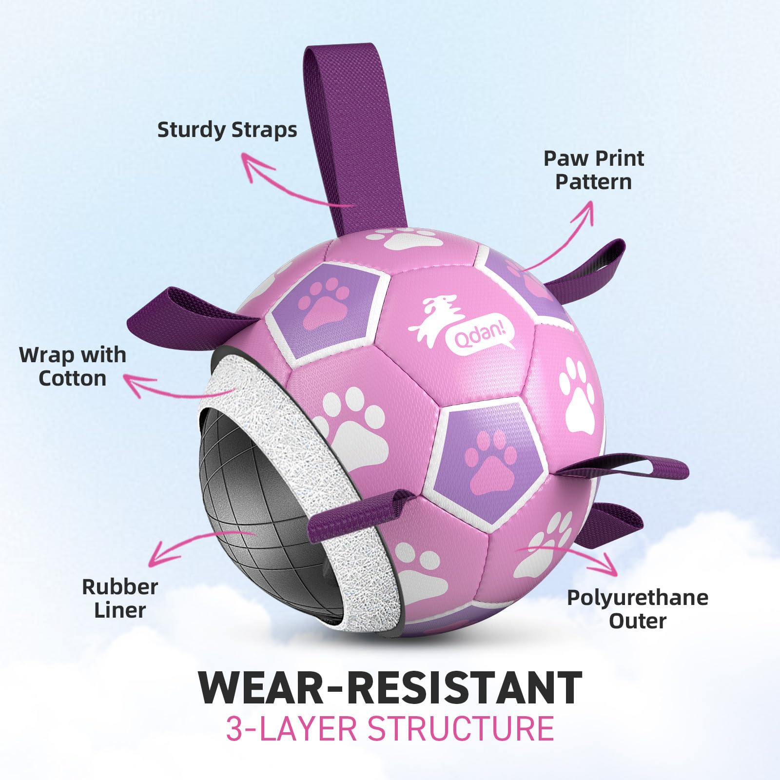 QDAN Dog Soccer Ball pictured with its included pump and needle adapter.