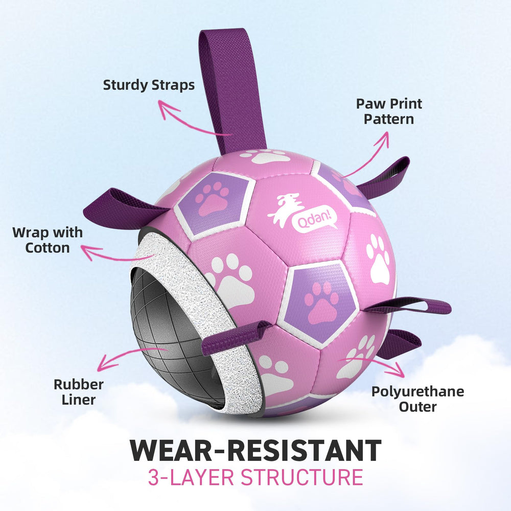 QDAN Dog Soccer Ball pictured with its included pump and needle adapter.