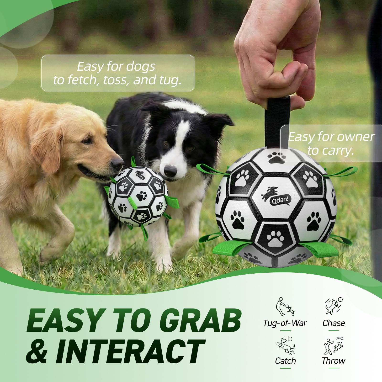 QDAN dog soccer ball set shown from an alternate angle.