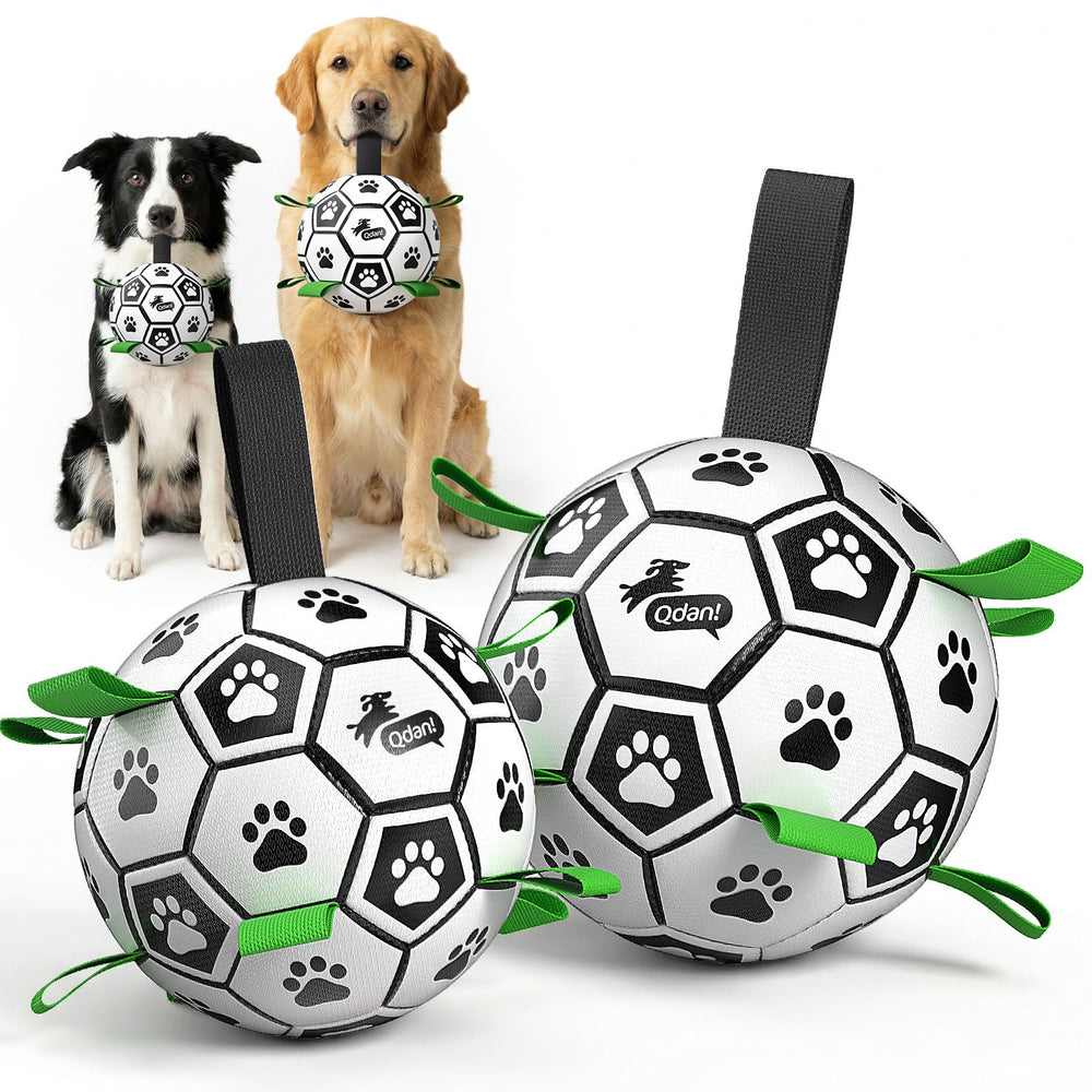 QDAN dog soccer ball set shown from the front with both balls and straps.