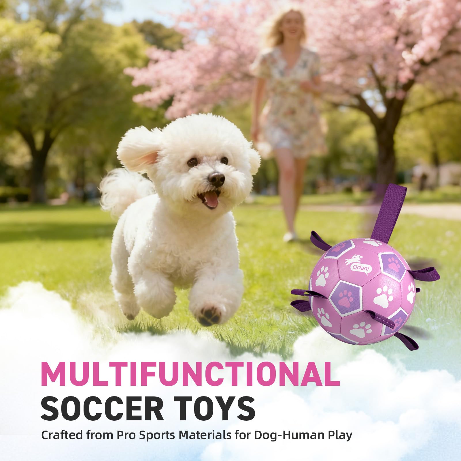 QDAN Dog Soccer Ball being used for an interactive tug game.