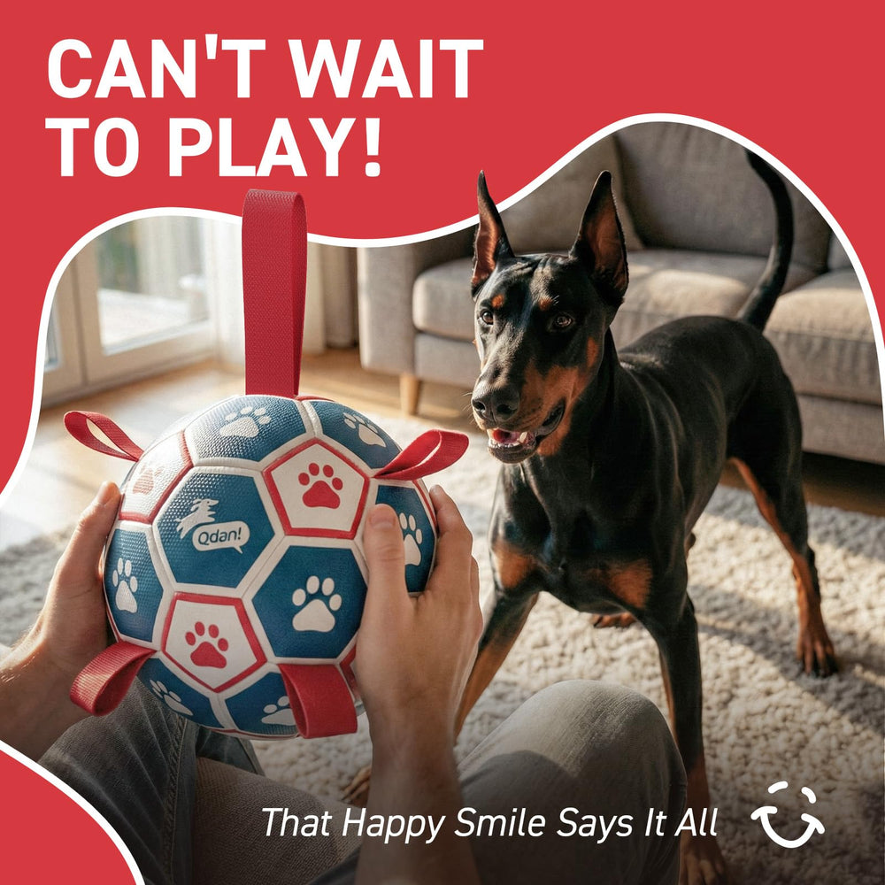 QDAN dog soccer ball shown ready for outdoor water play.