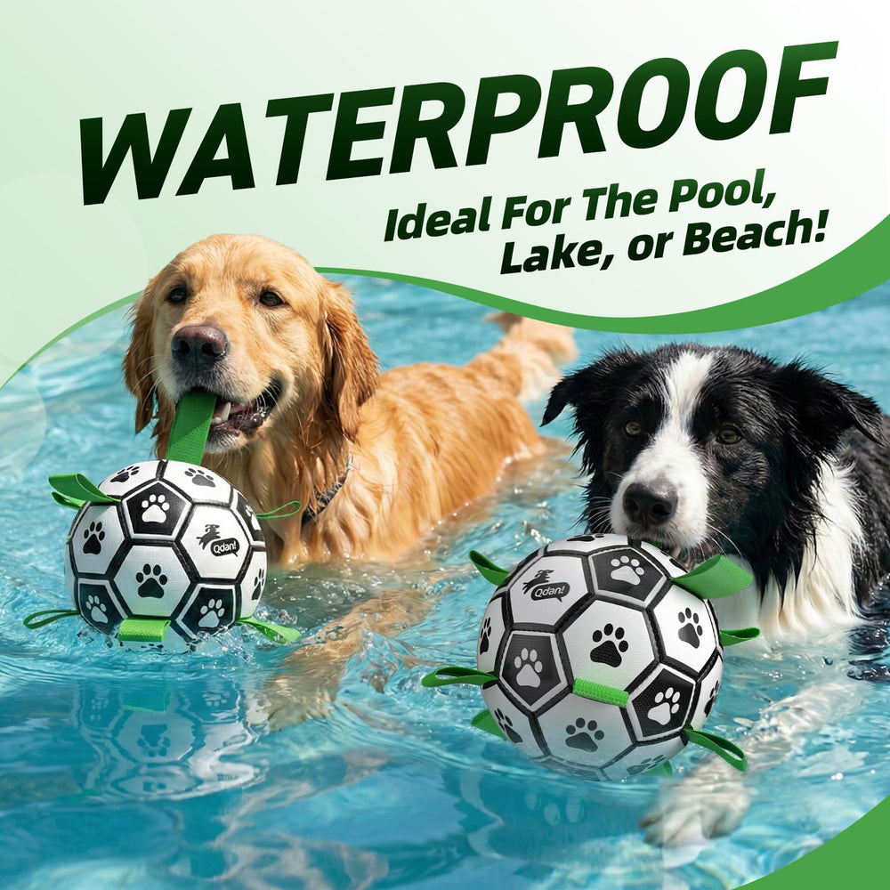 QDAN dog soccer balls shown together to compare the two included sizes.