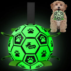 QDAN glow-in-the-dark dog ball shown from the front.