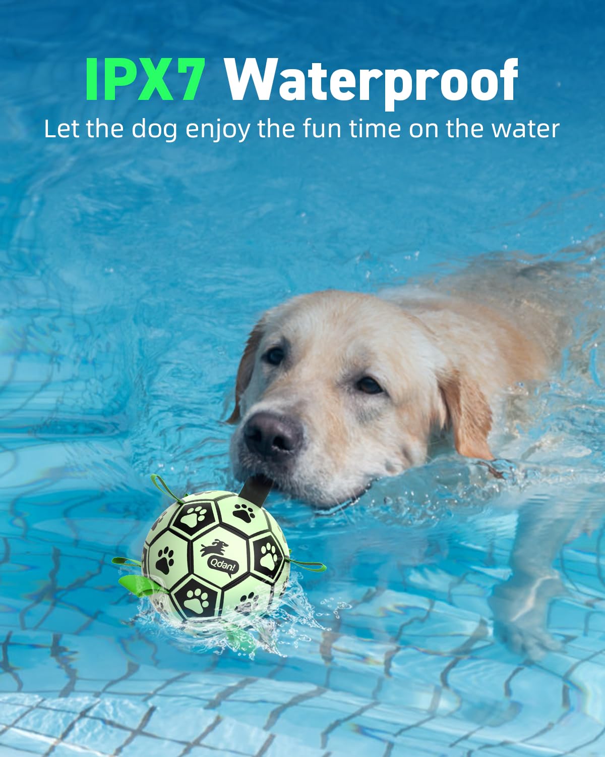 QDAN waterproof dog ball shown during water play.