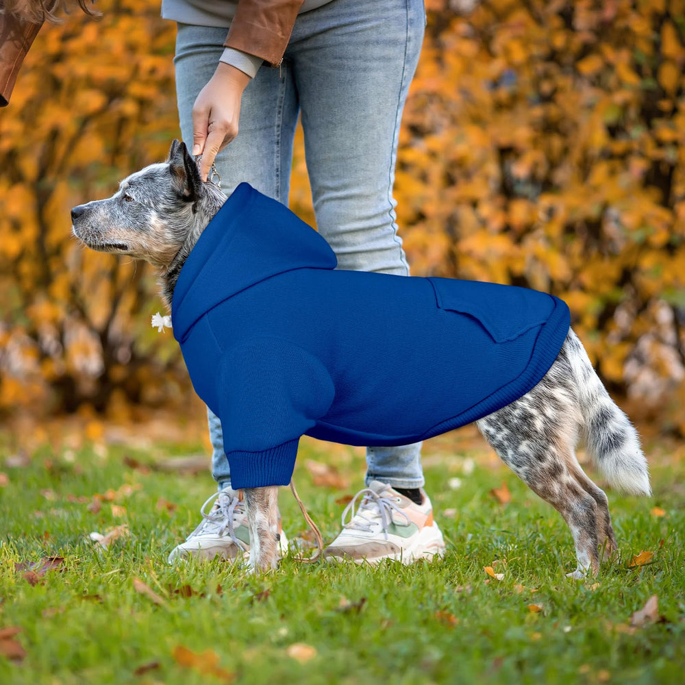 QDYU dog hoodie shown from a back angle.