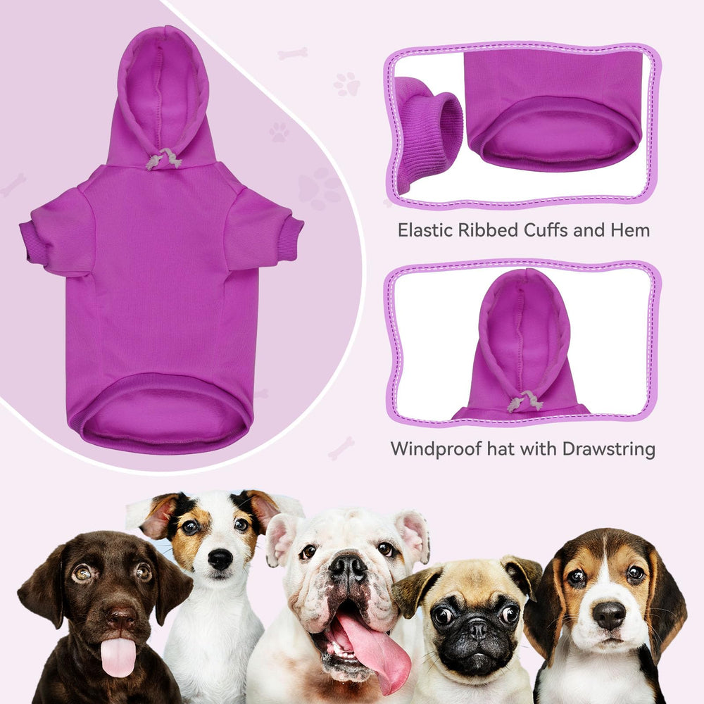 QDYU dog hoodie close-up highlighting the functional pocket.