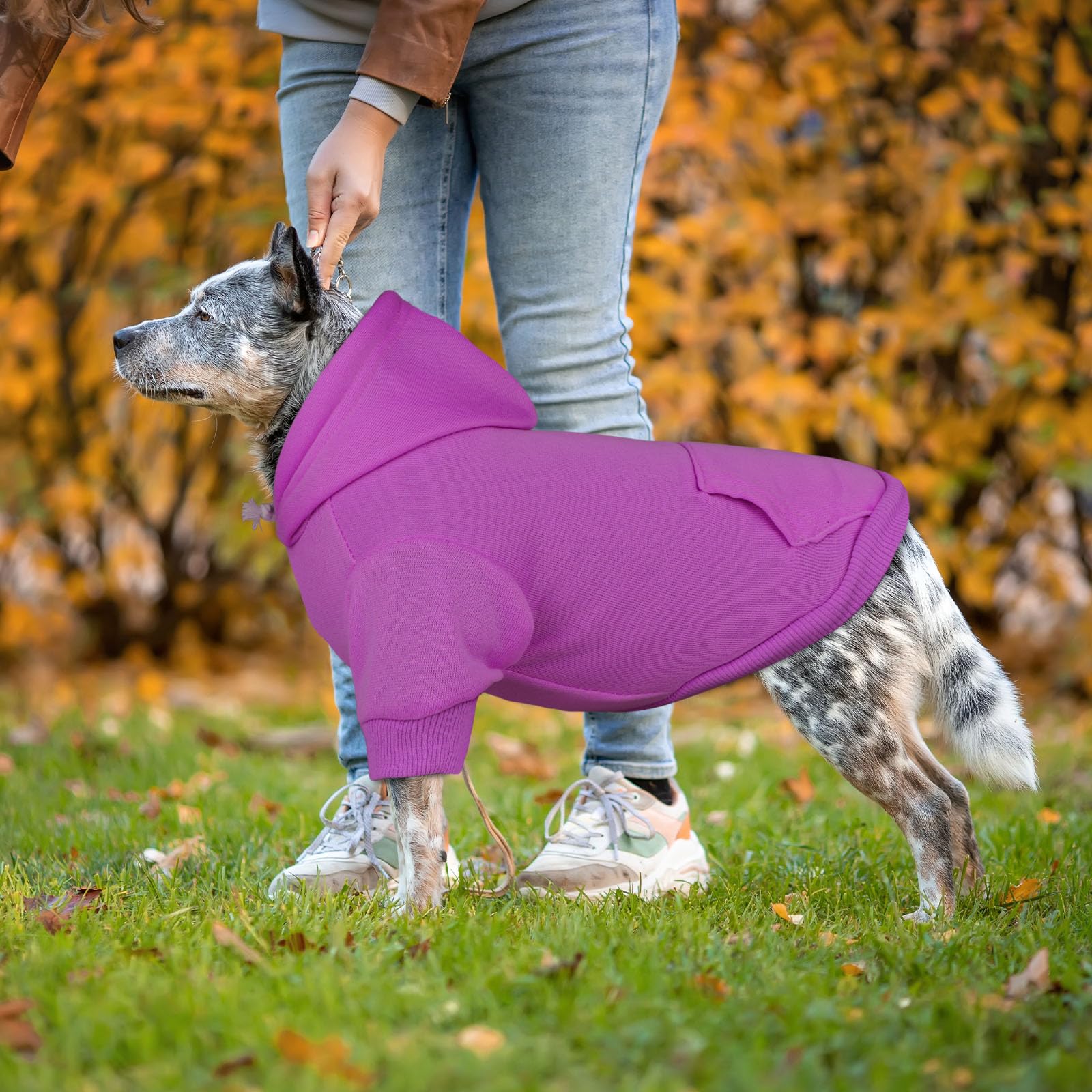 QDYU dog hoodie shown from a side angle.