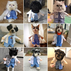 Qidelong pet doctor costume detail showing the attached arms.