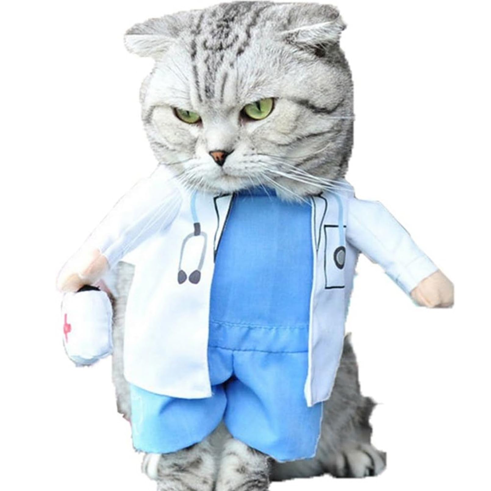 Qidelong pet doctor costume worn by a cat.