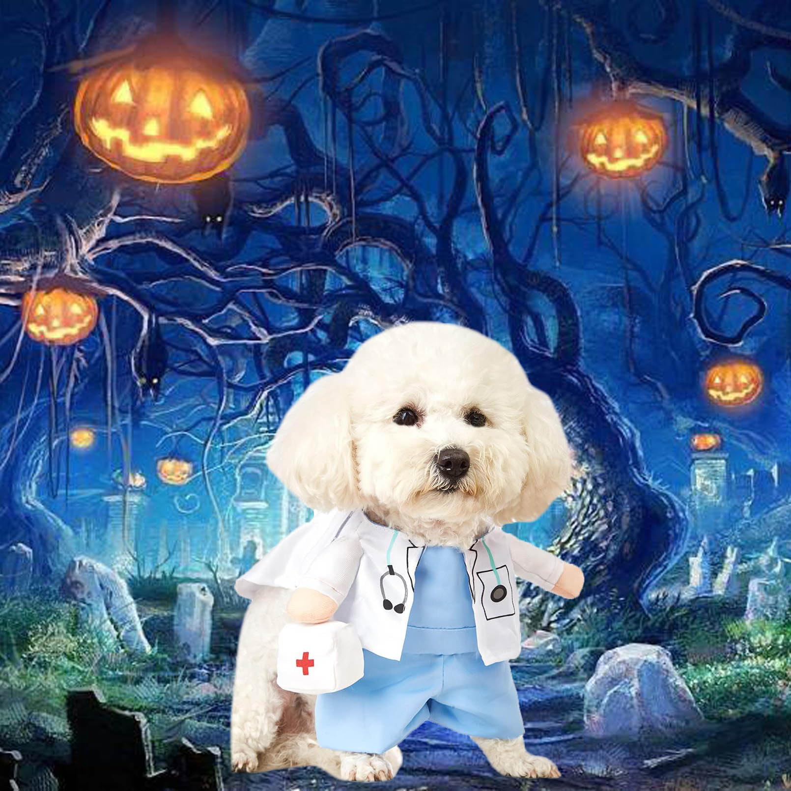 Qidelong pet doctor costume highlighting the white gown and blue doctor scrubs.