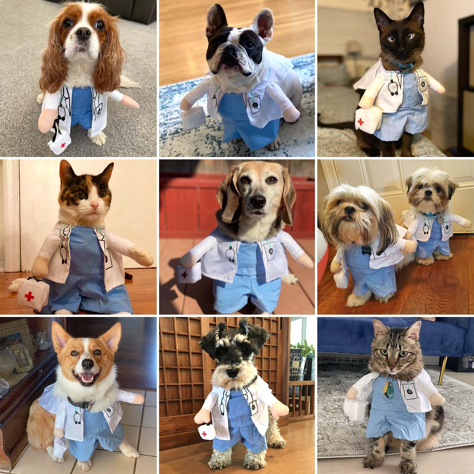 Qidelong pet doctor costume beside its matching medicine box.