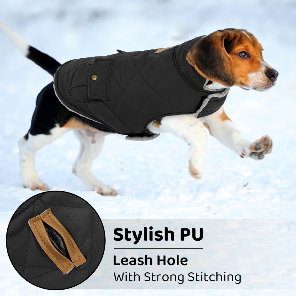 Queenmore dog winter coat with the collar turned down.