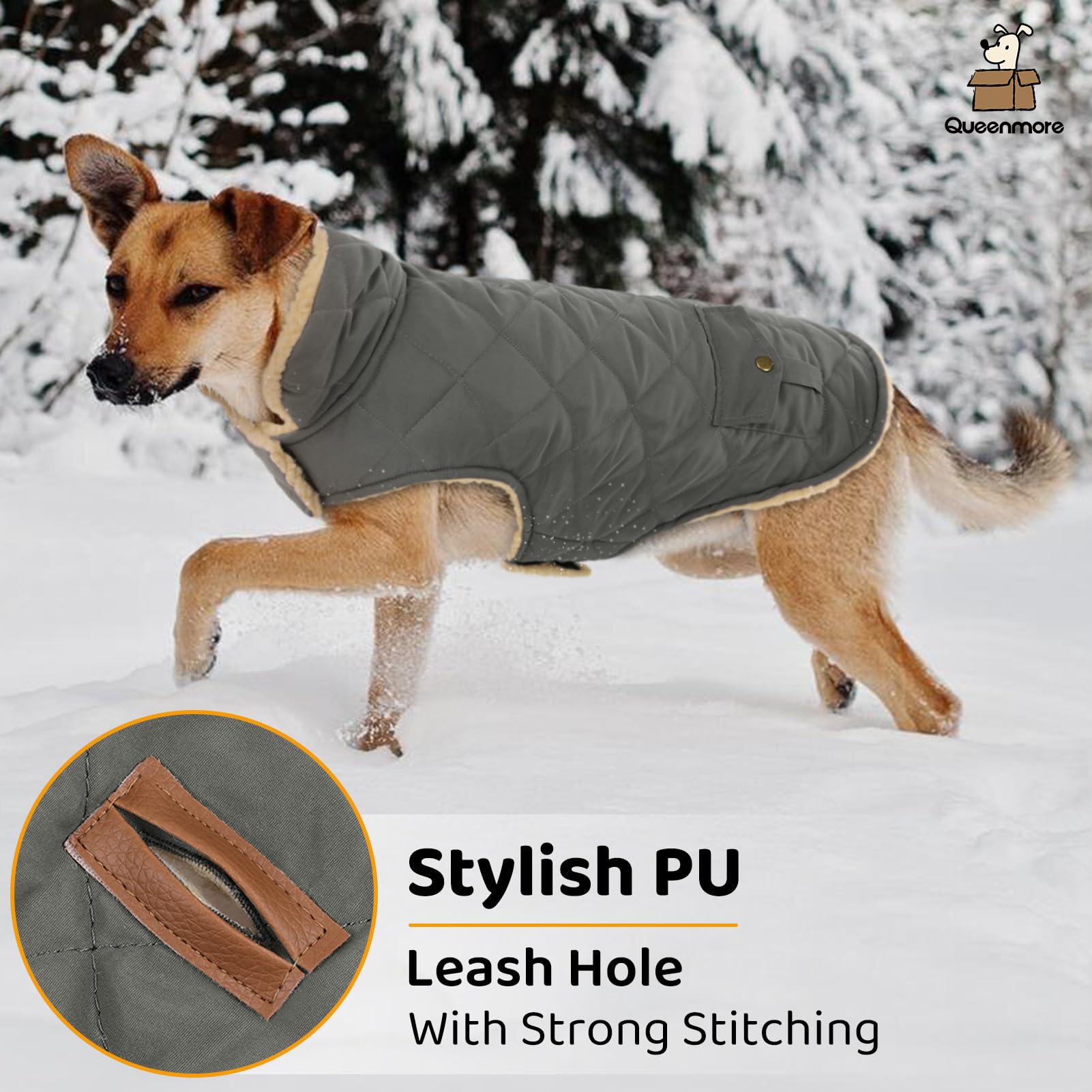 Queenmore dog winter coat with its collar raised.