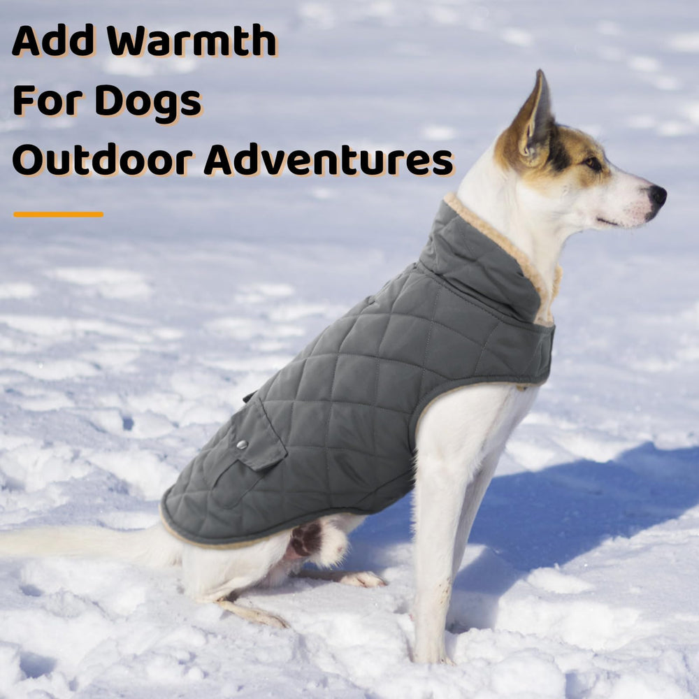 Queenmore dog winter coat with its collar turned down to show the lining.