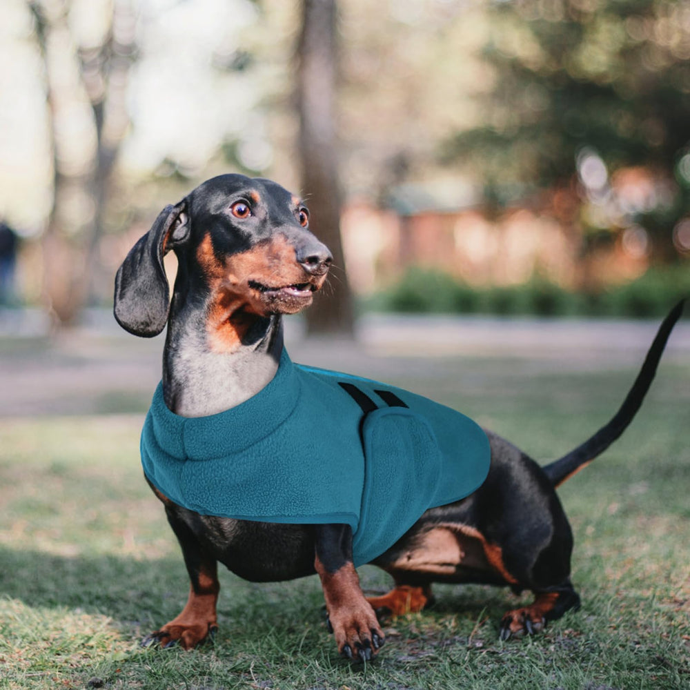 Queenmore dog fleece sweater shown from a side angle.