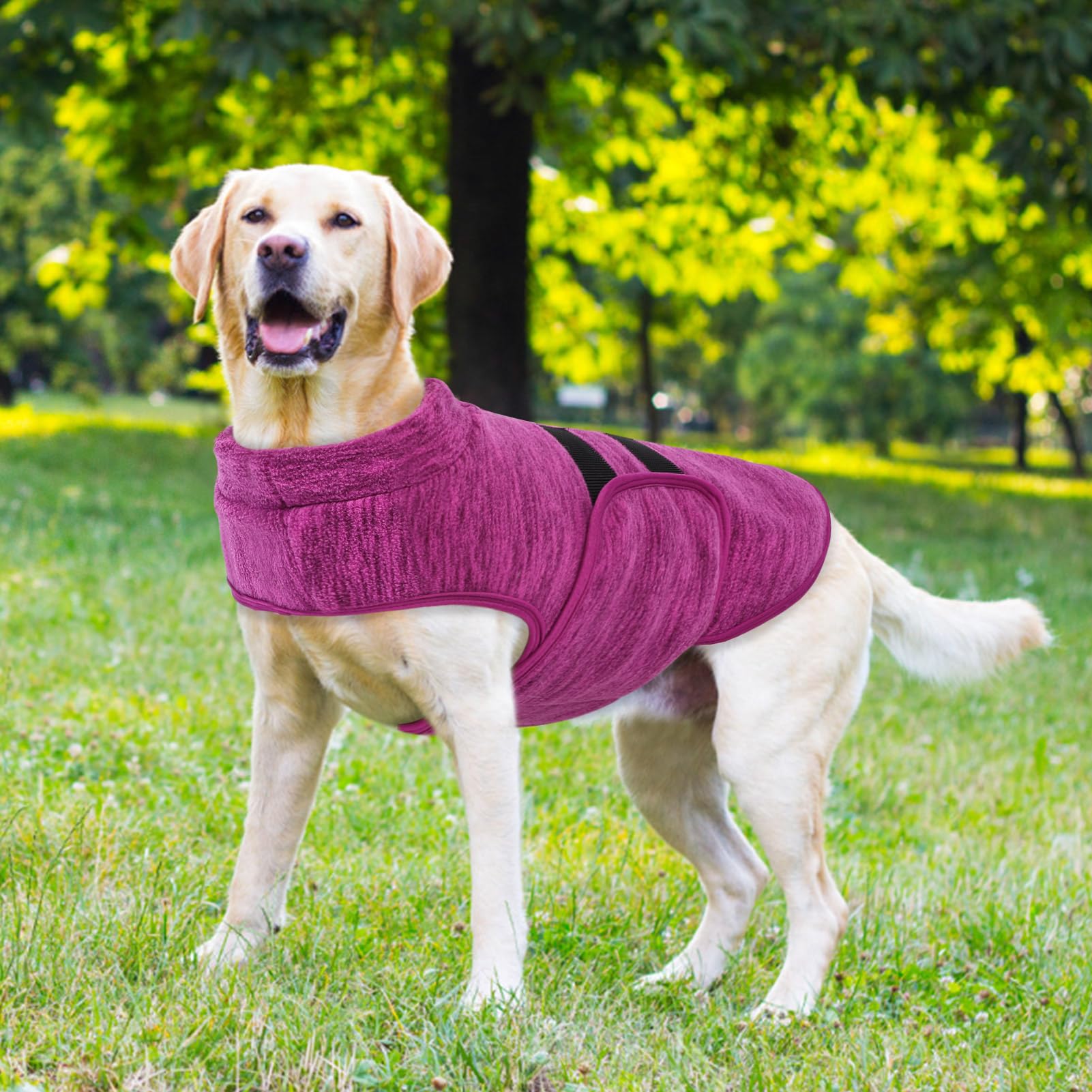Queenmore dog fleece sweater shown from the side.
