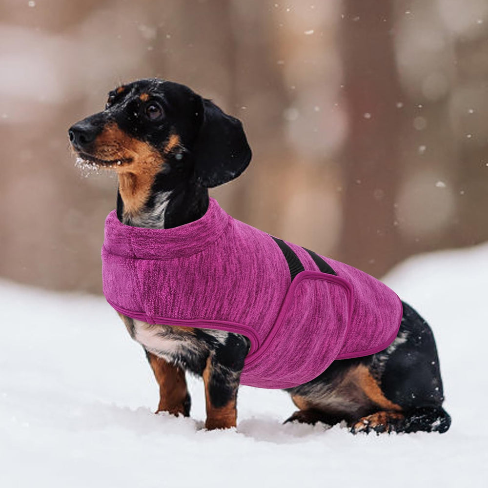 Queenmore dog fleece sweater showing its solid fleece design.