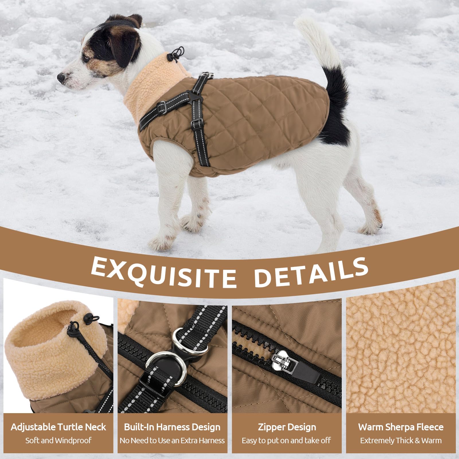 Queenmore dog jacket shown from the back with its smooth back zipper.