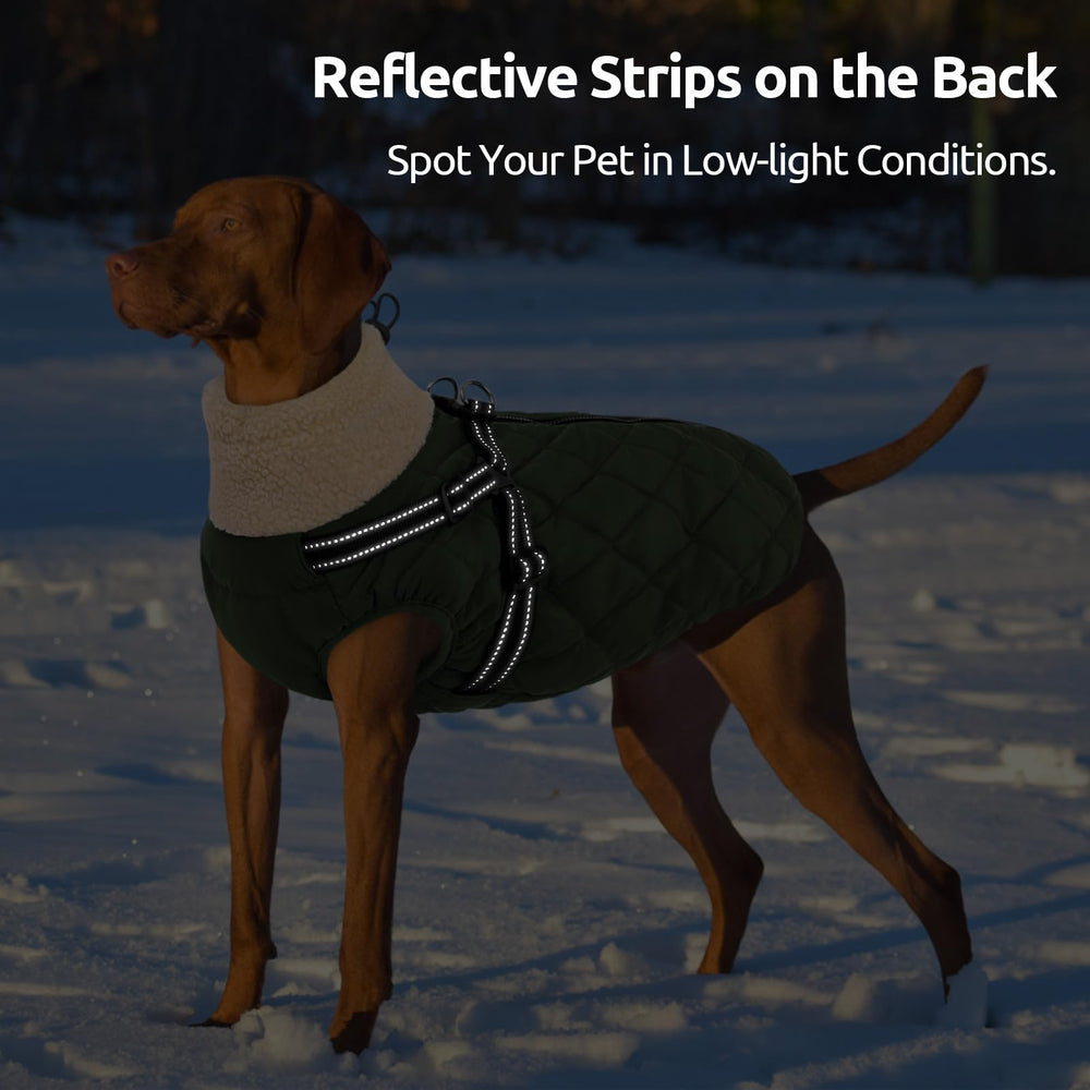 Queenmore dog jacket back zipper detail with anti-snag padding.