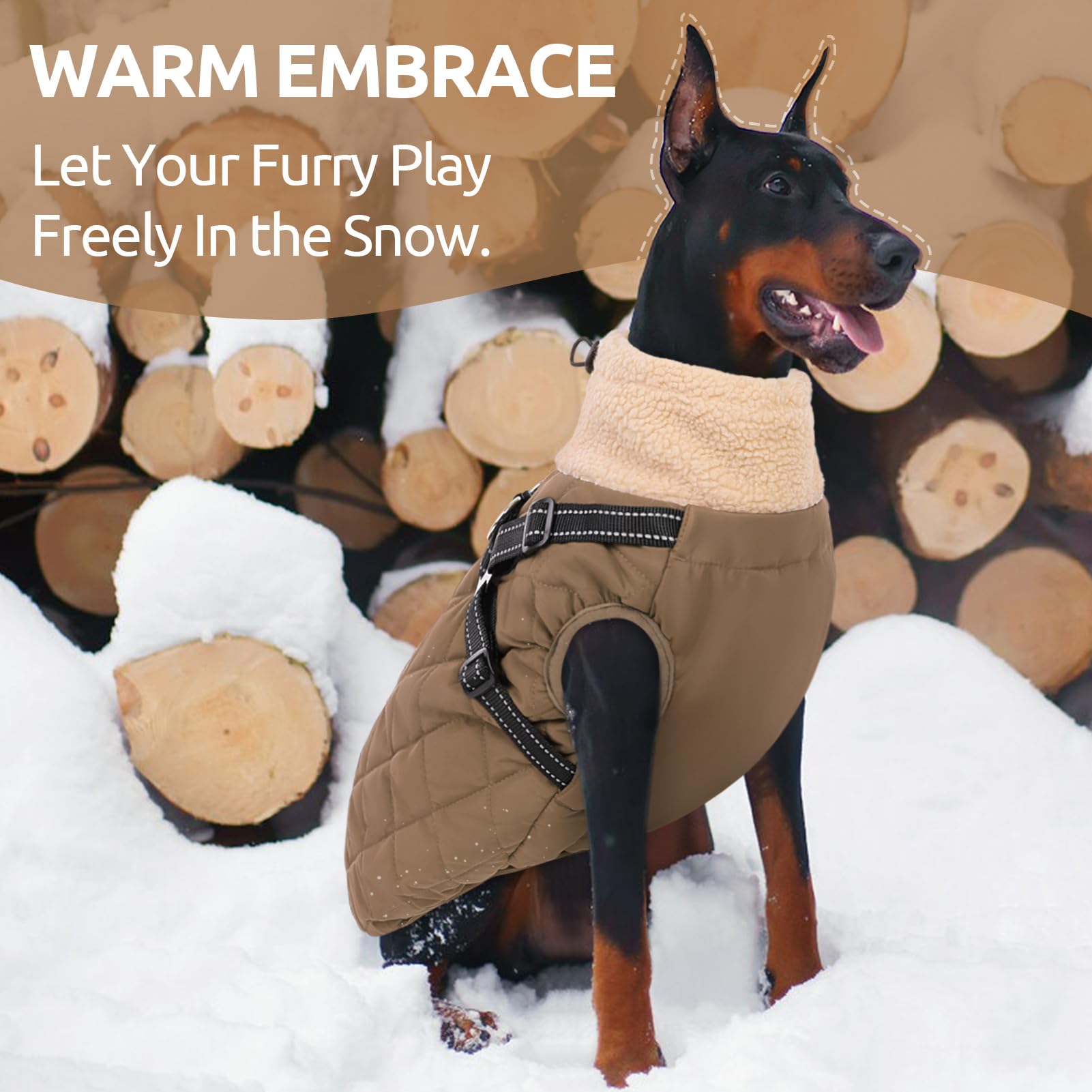 Queenmore dog jacket detail showing the built-in chest harness and D-ring.
