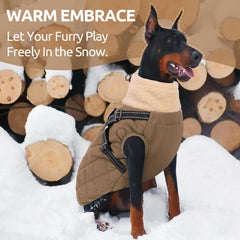 Queenmore dog jacket detail showing the built-in chest harness and D-ring.
