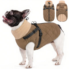 Queenmore dog jacket shown from the front with its winter coat design.