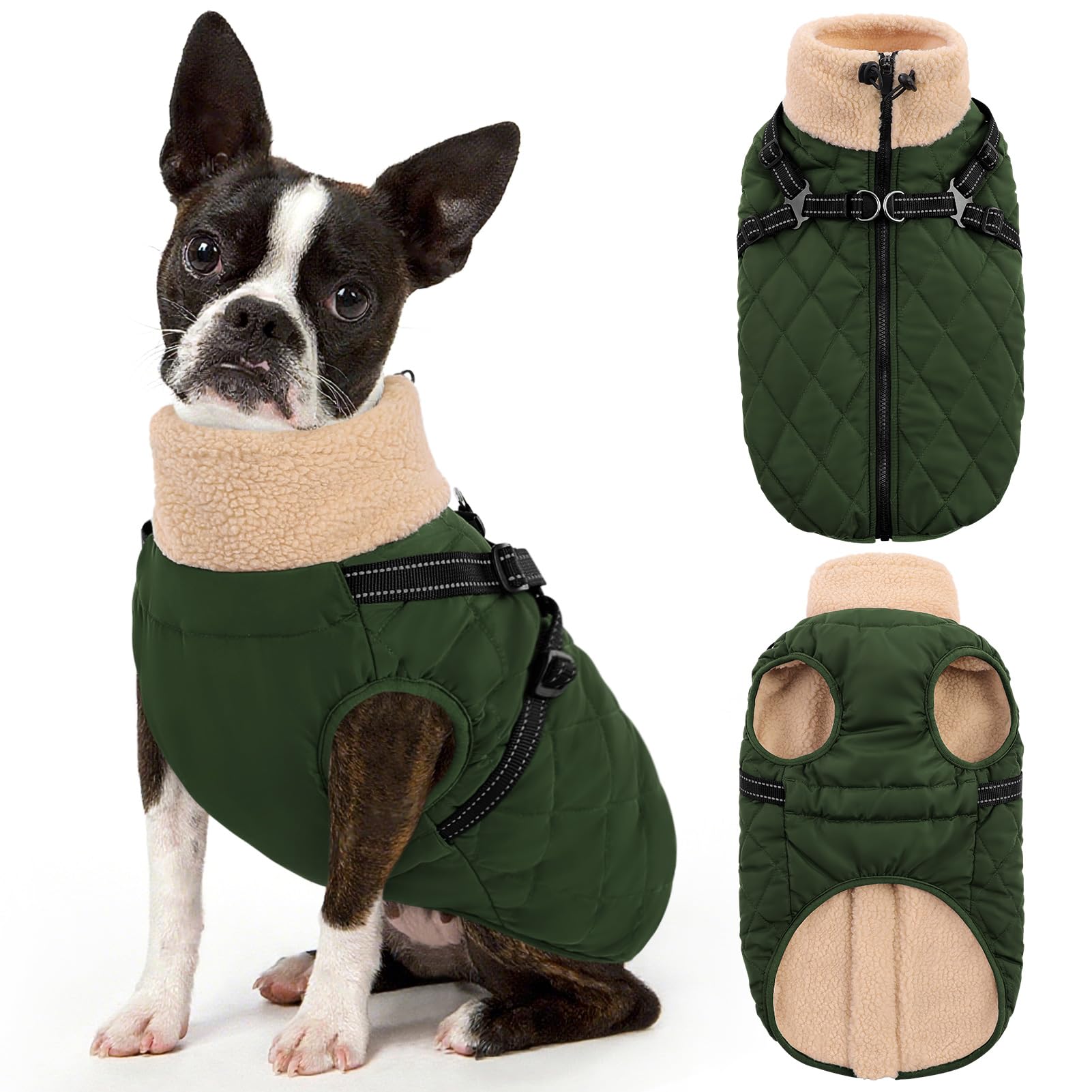 Queenmore dog jacket shown from the front to display its winter coat shape.