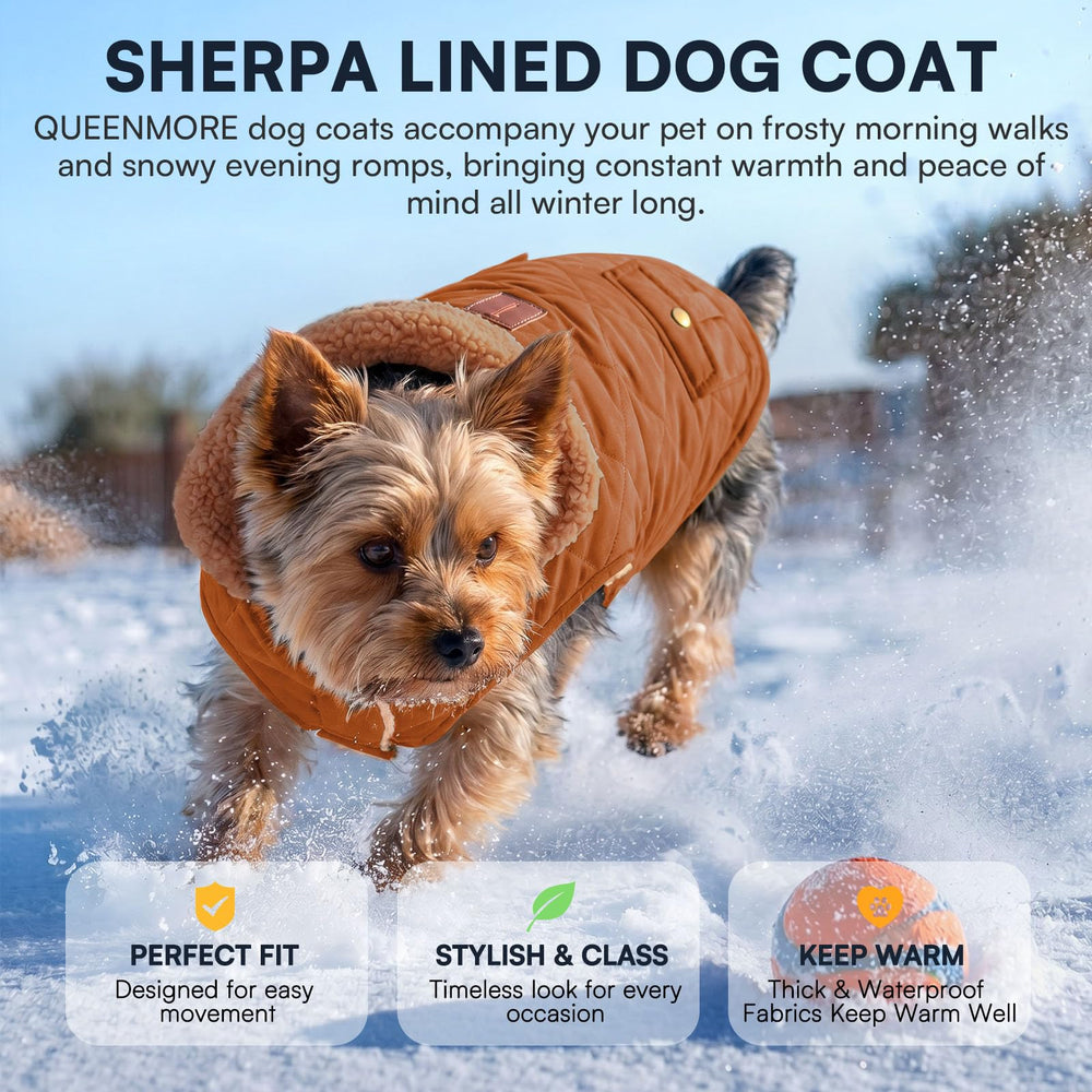 Queenmore dog jacket with the collar lowered to reveal the beige lining.