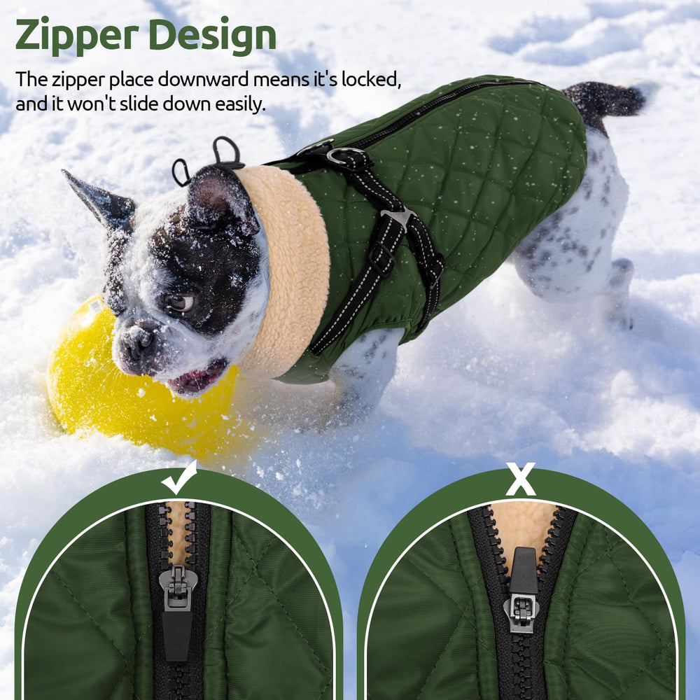 Queenmore dog jacket being worn outdoors in cold-weather conditions.