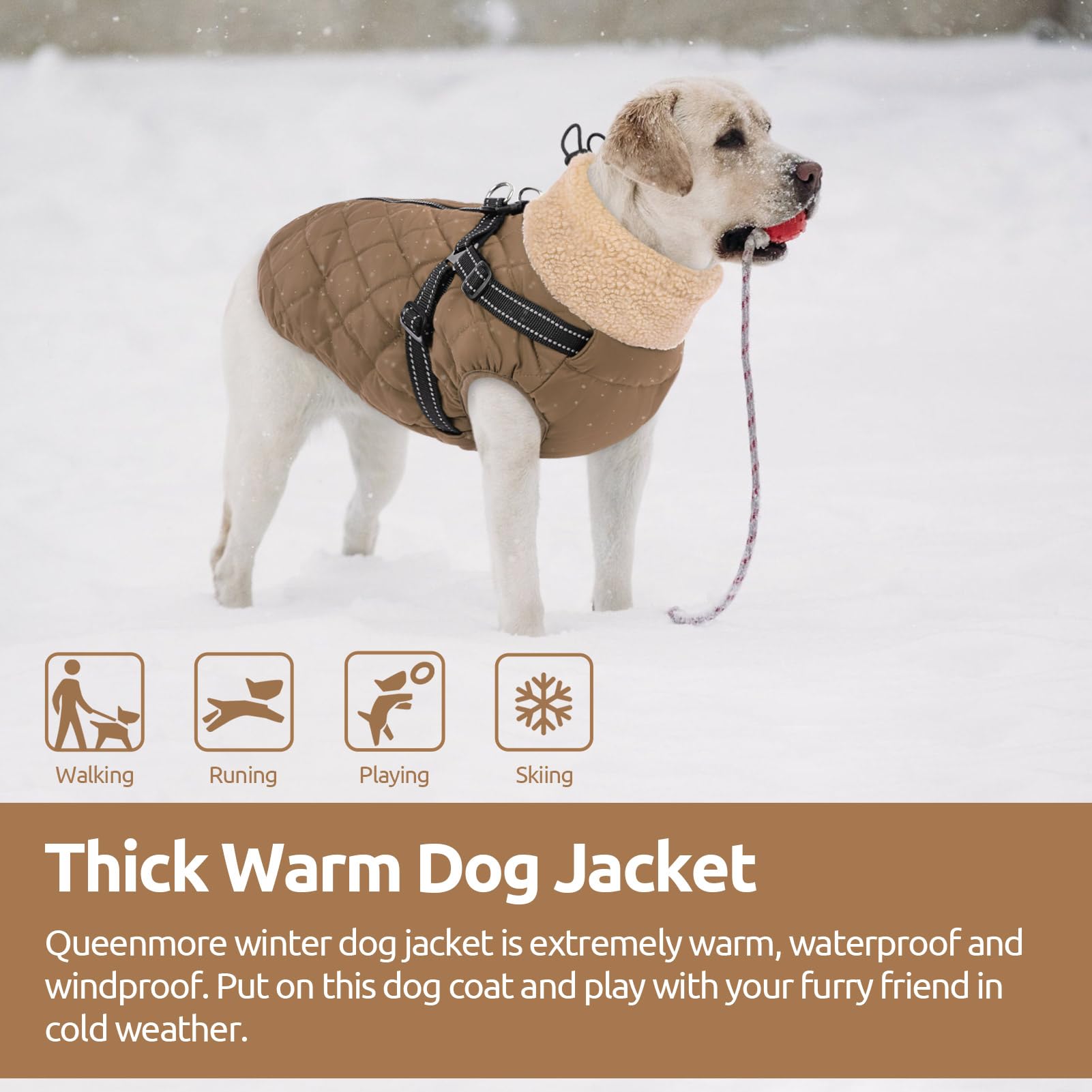 Queenmore dog jacket close-up highlighting its high-density Oxford shell.