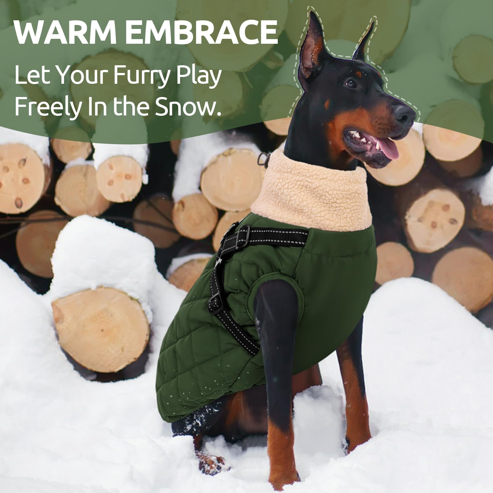 Queenmore dog jacket shell close-up showing the Oxford outer fabric.