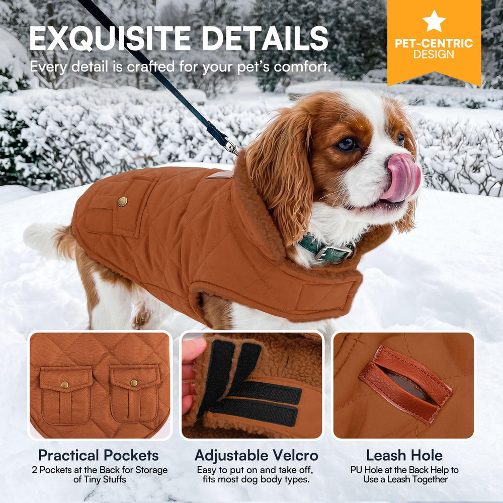 Queenmore dog jacket with its quilted polyester outer in close view.