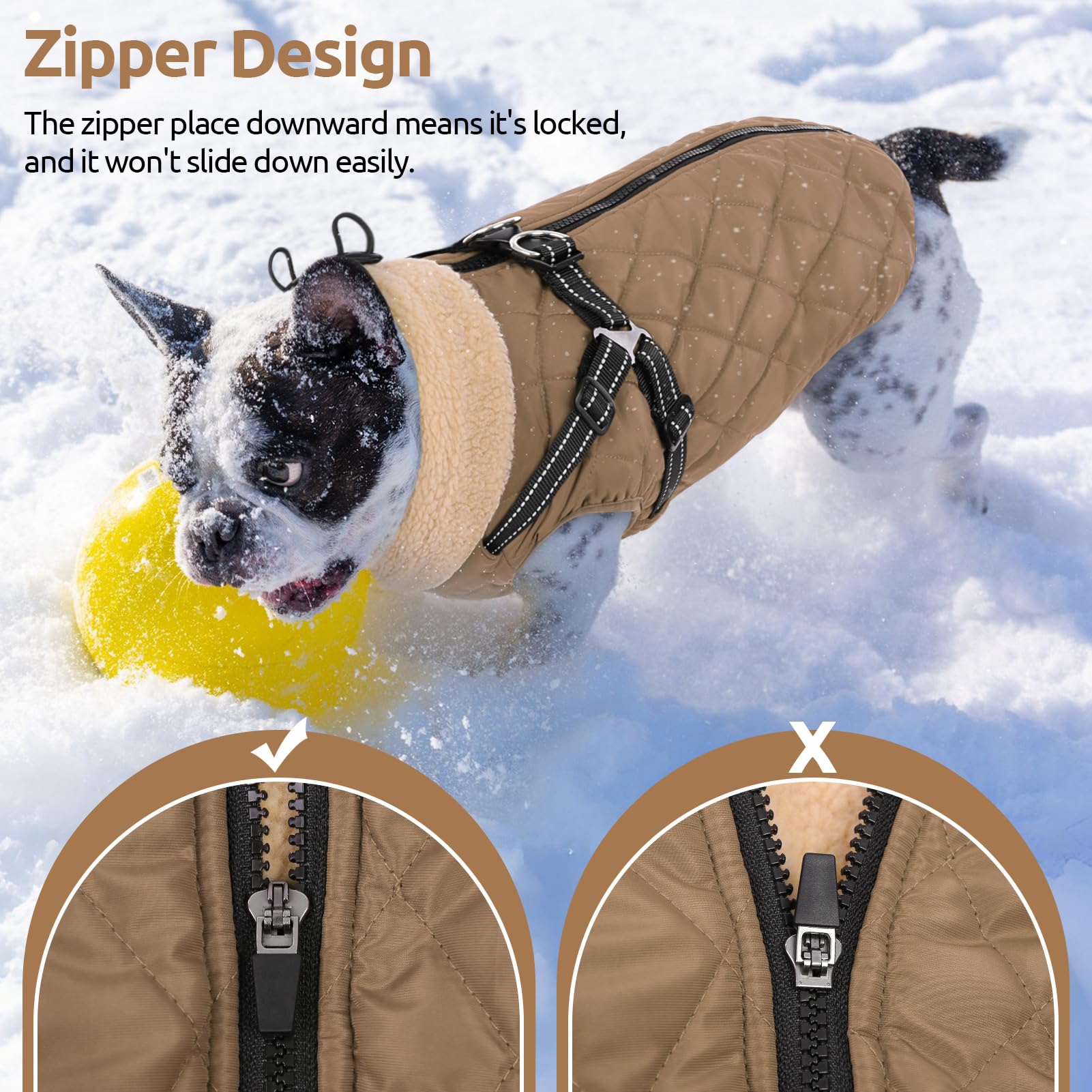 Queenmore dog jacket size chart showing the available size range.
