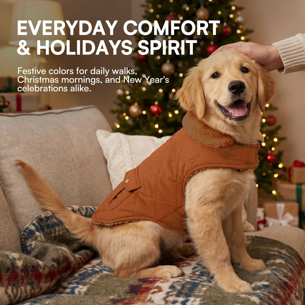 Queenmore dog jacket shown being worn by a dog.