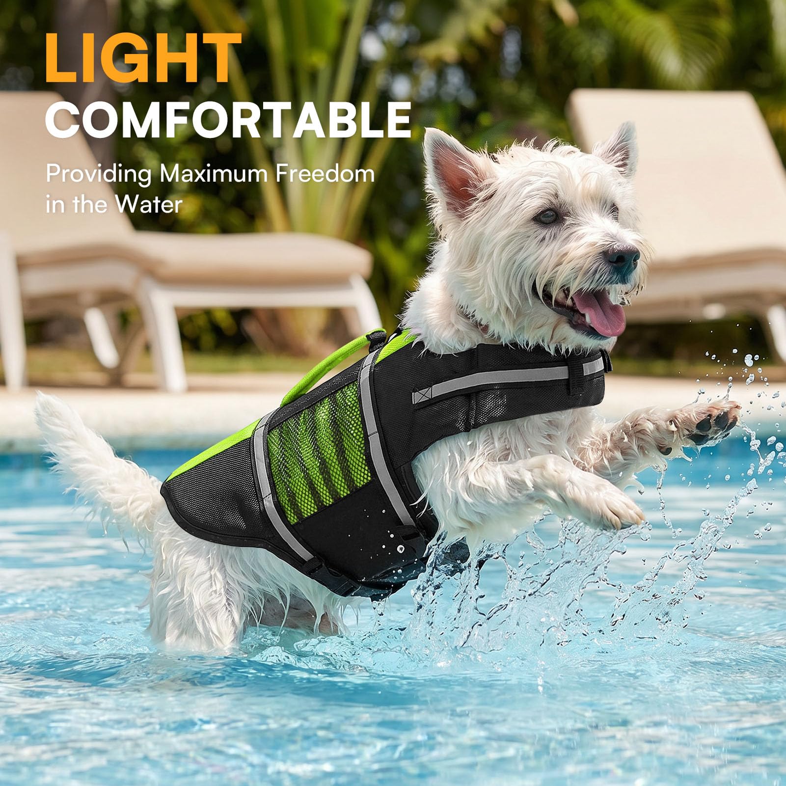 Queenmore dog life jacket showing the belly buckle closure.