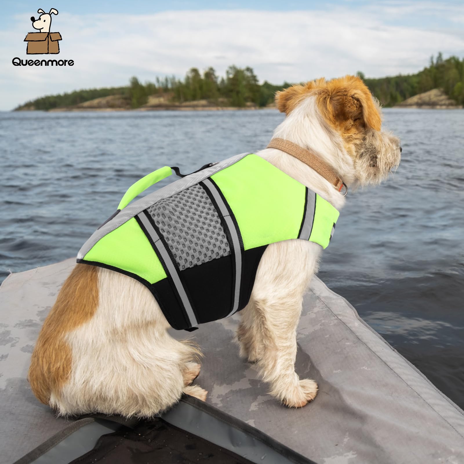 Queenmore Dog Life Jacket showing the chest strap closure.