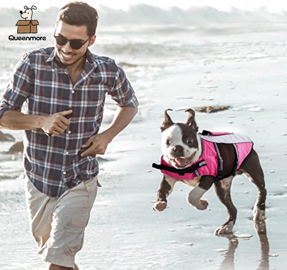 Queenmore dog life jacket showing the chest straps.