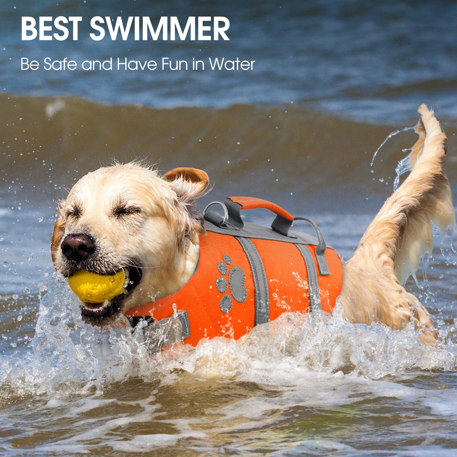 Queenmore dog life jacket shown in use with a dog near the water.
