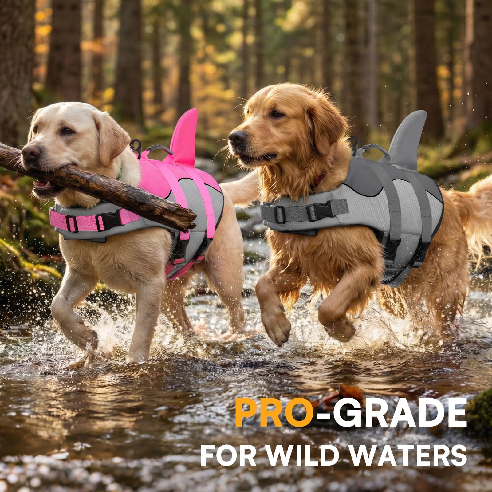 Queenmore dog life jacket showing the rear D-ring leash attachment.