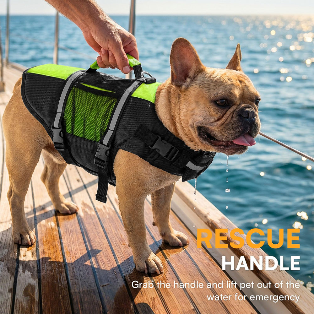 Queenmore dog life jacket showing the rear leash D-ring.