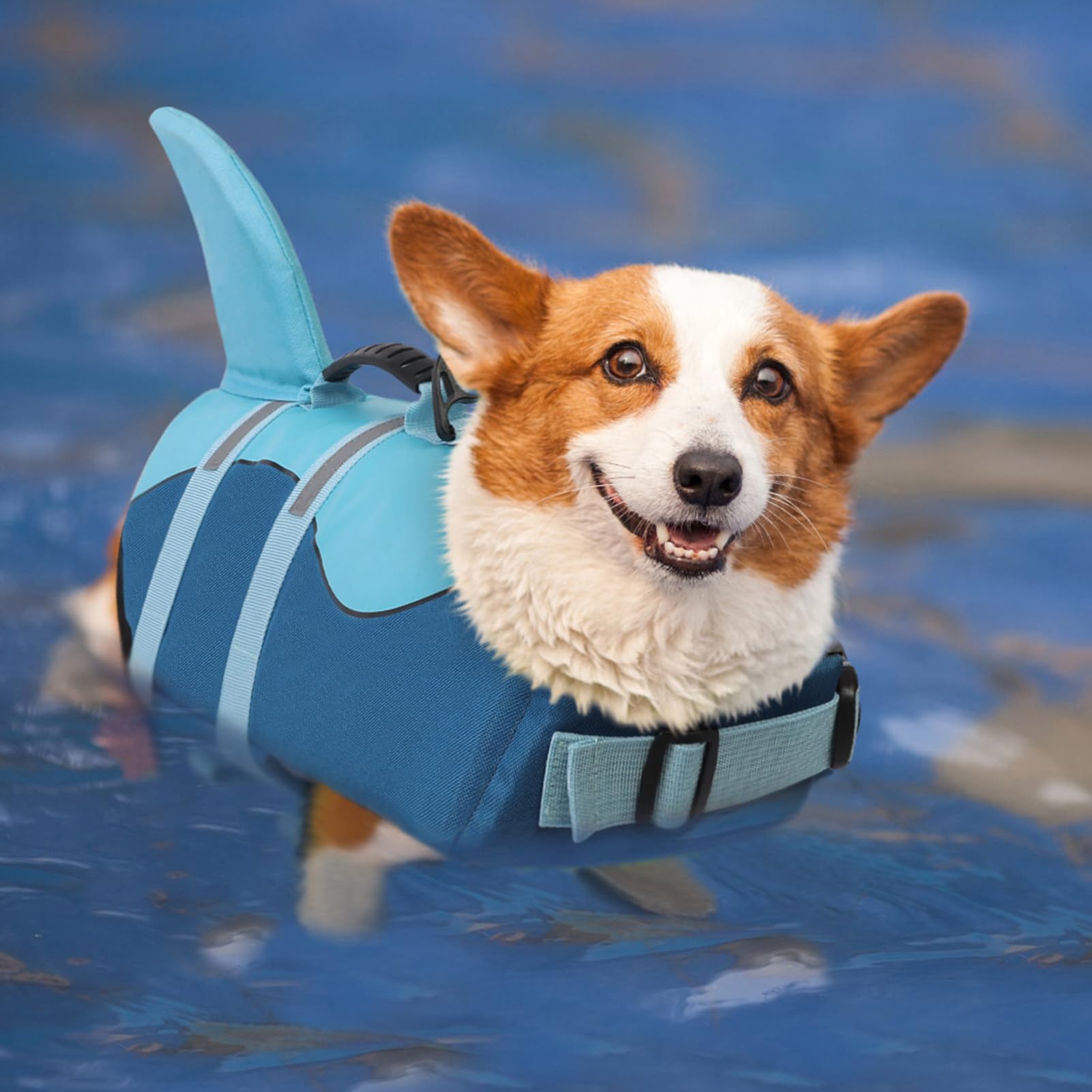 Queenmore Dog Life Jacket showing its reflective straps.