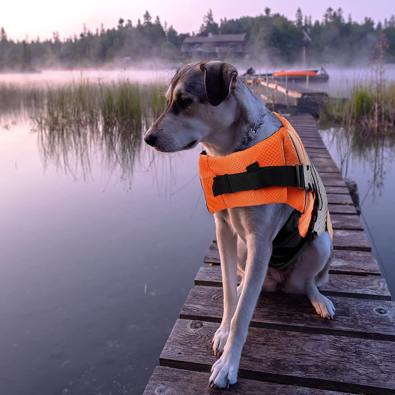 Queenmore dog life jacket shown in use for a dog swimming.