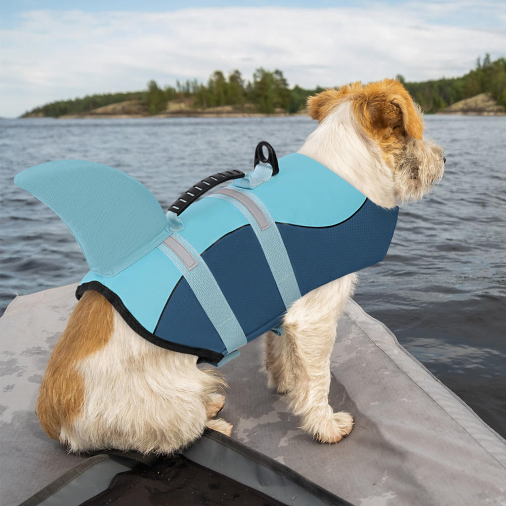 Queenmore Dog Life Jacket shown in use during a water activity.