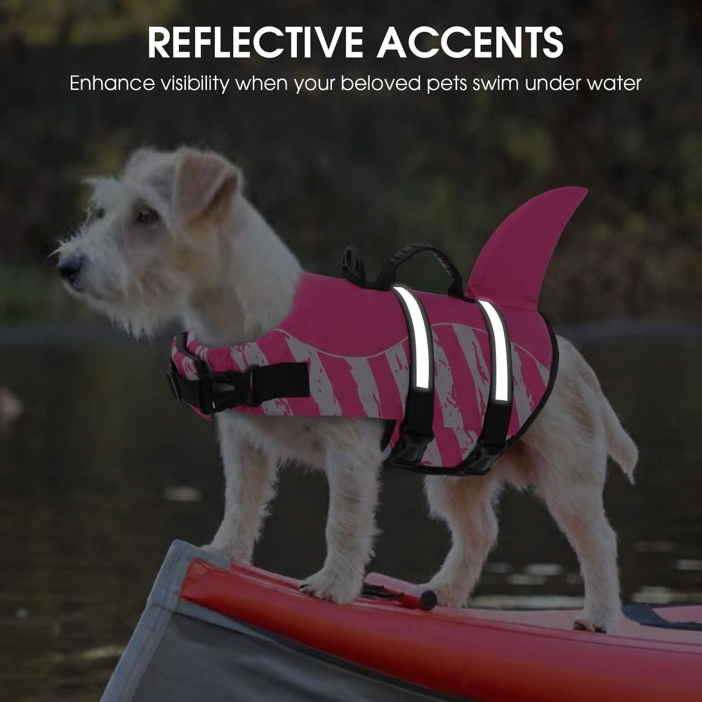 Queenmore Dog Life Jacket shown being worn by a dog during water activity.