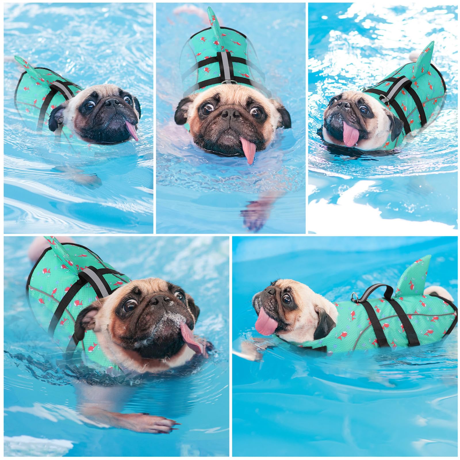 Queenmore Dog Life Jacket shown on a dog beside the water.